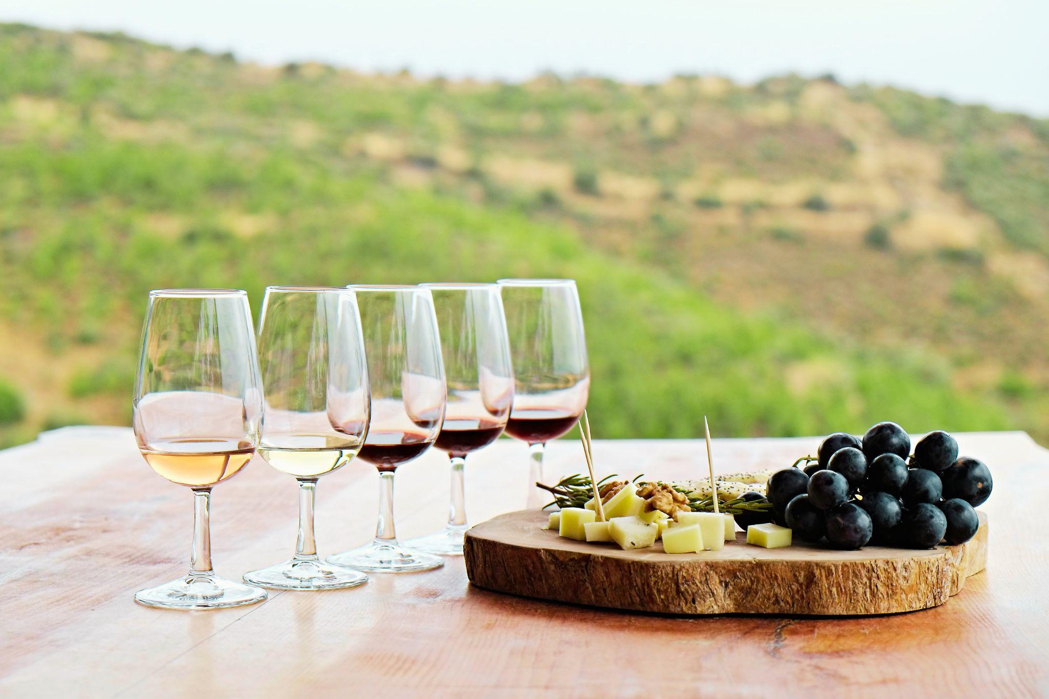 Wine tasting flight overlooking the vineyards on the nearby Durbanville Wine Route