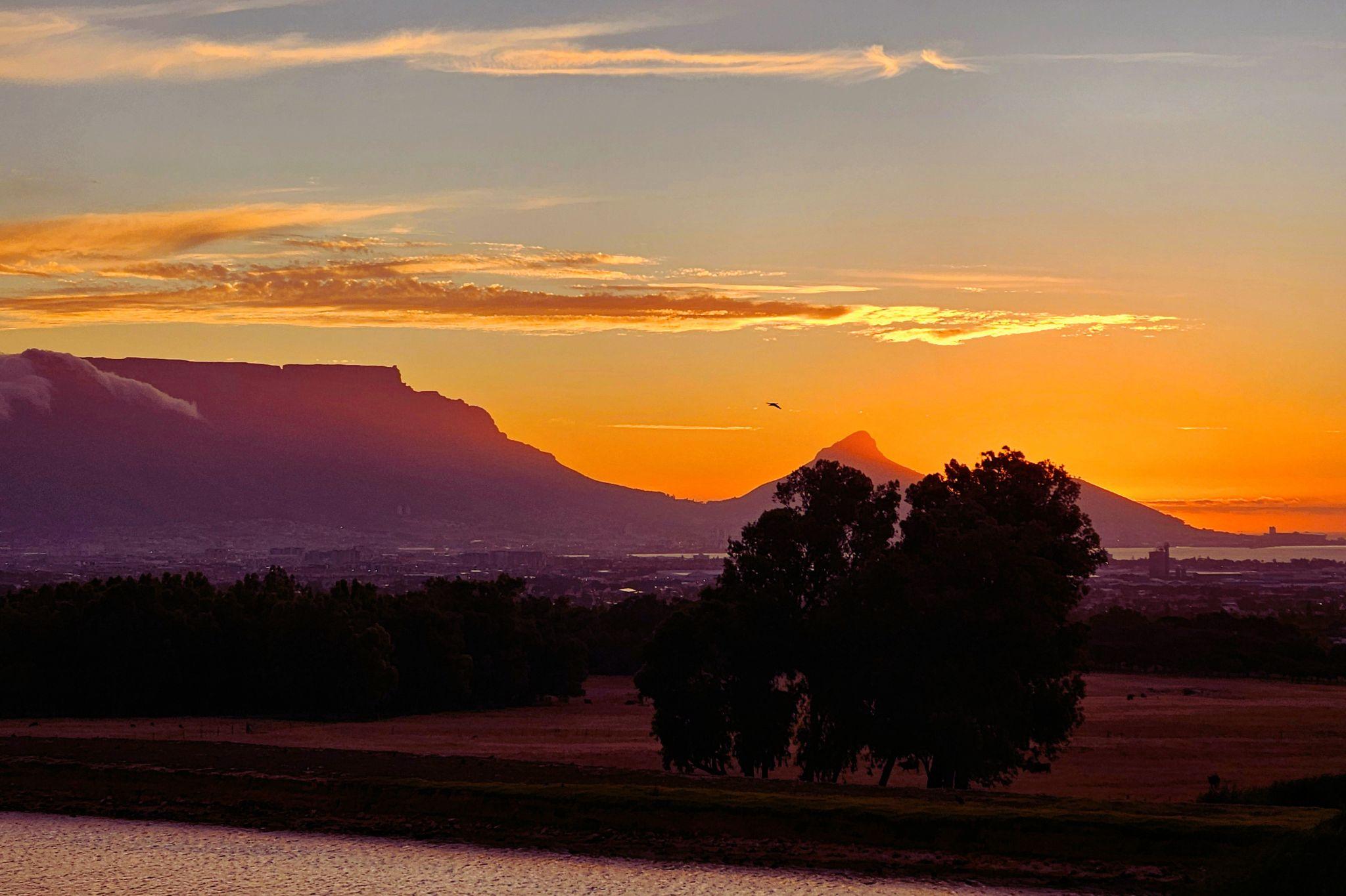 Table Mountain and Lion's Head at sunset, viewed from near Cape Perlant at De Grendal Wine Estate
