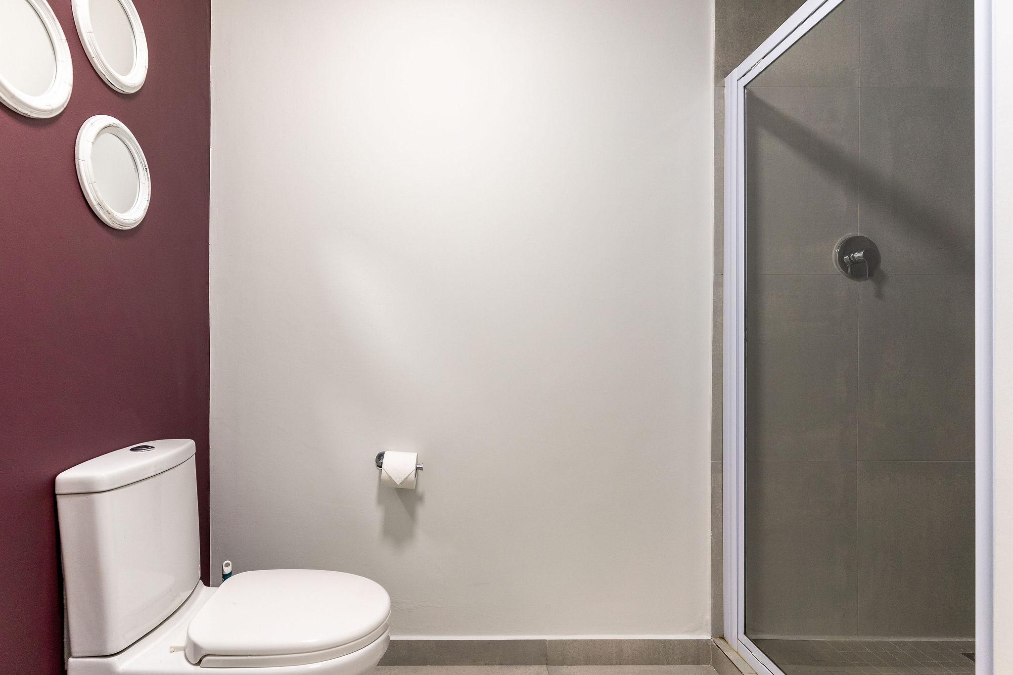 Cape Vine bathroom with walk-in shower